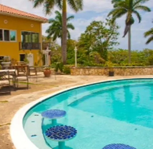 Bird Eye View Montego Bay