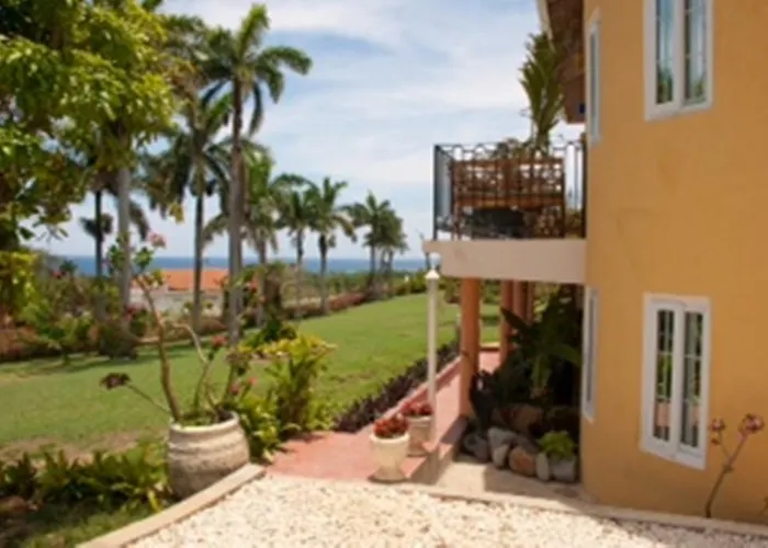 Bird Eye View * Montego Bay